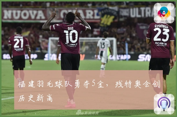 福建羽毛球队勇夺5金，残特奥会创历史新高