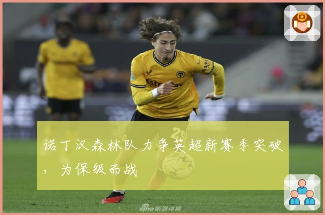 诺丁汉森林队力争英超新赛季突破，为保级而战