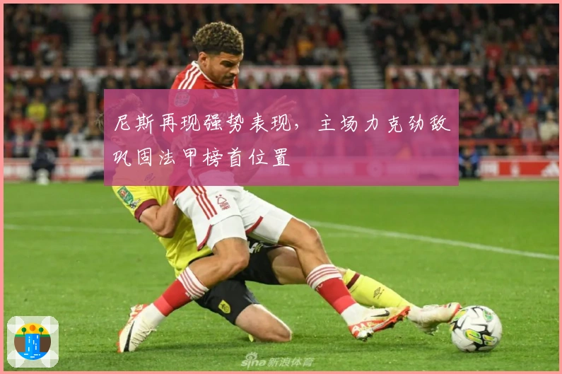 尼斯再现强势表现，主场力克劲敌巩固法甲榜首位置