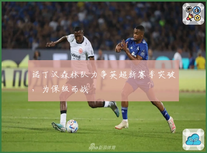 诺丁汉森林队力争英超新赛季突破，为保级而战