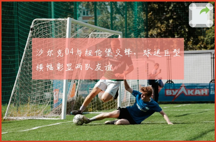 沙尔克04与纽伦堡交锋，球迷巨型横幅彰显两队友谊