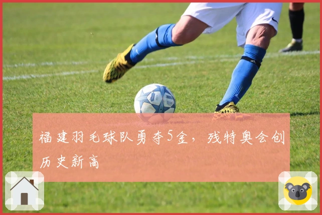 福建羽毛球队勇夺5金，残特奥会创历史新高